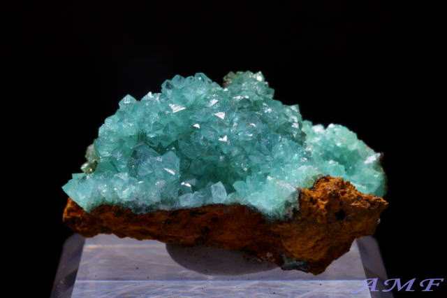 メキシコ・オハエラ鉱山産 キュプリアンアダマイトの綺麗な標本11