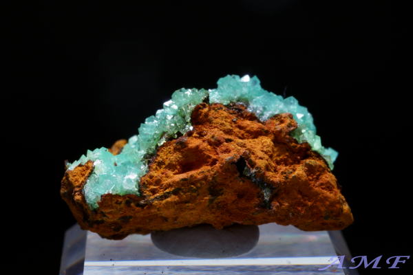 メキシコ・オハエラ鉱山産 キュプリアンアダマイトの綺麗な標本15