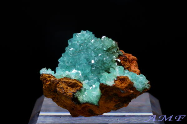 メキシコ・オハエラ鉱山産 キュプリアンアダマイトの綺麗な標本17