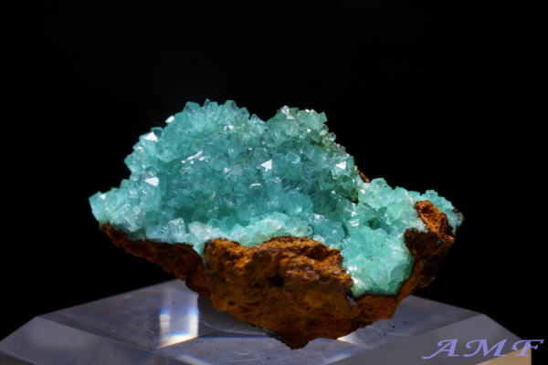 メキシコ・オハエラ鉱山産 キュプリアンアダマイトの綺麗な標本18