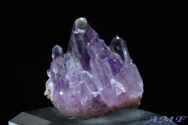 󏭂ȃLVREQBYAVXgNX^[152