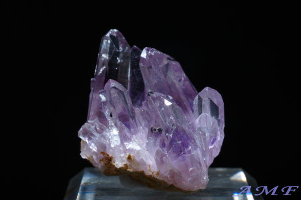 󏭂ȃLVREQBYAVXgNX^[153