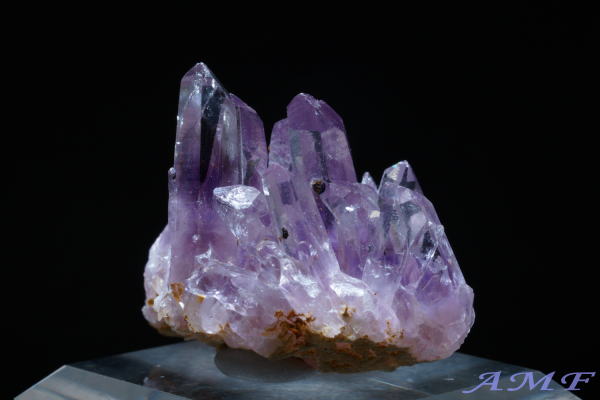 󏭂ȃLVREQBYAWXgNX^[154