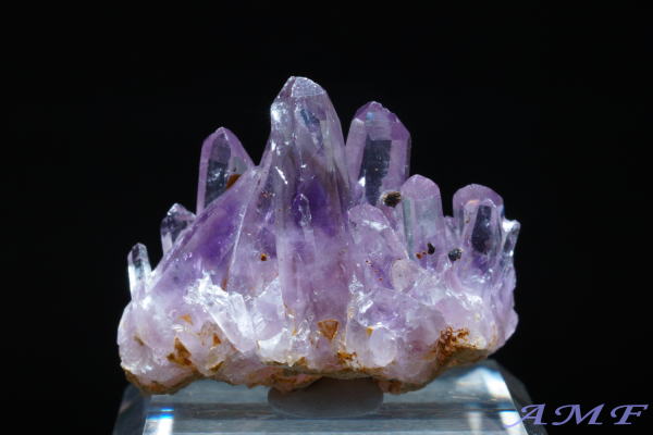 󏭂ȃLVREQBYAWXgNX^[155