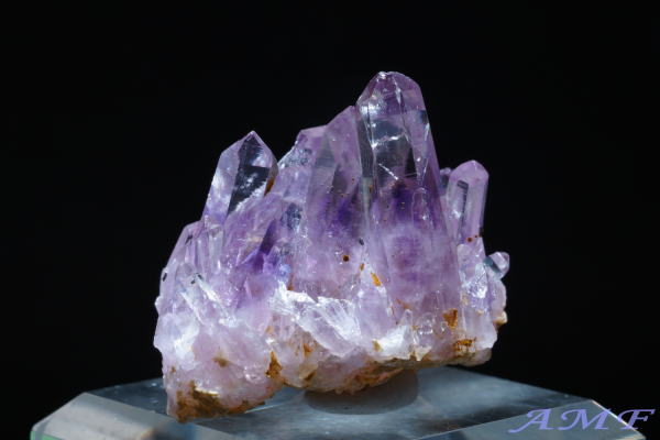 󏭂ȃLVREQBYAWXgNX^[156