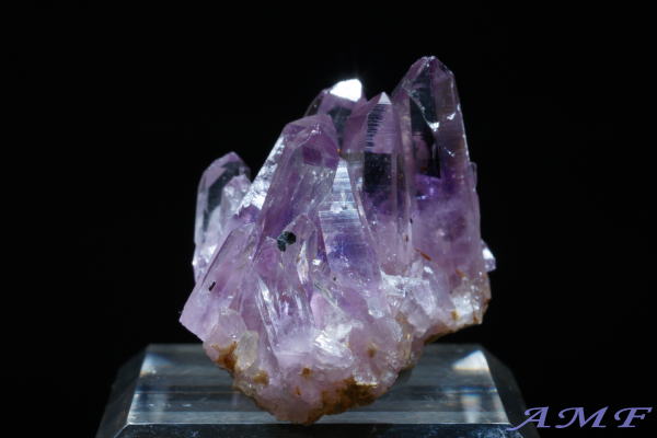 󏭂ȃLVREQBYAWXgNX^[157