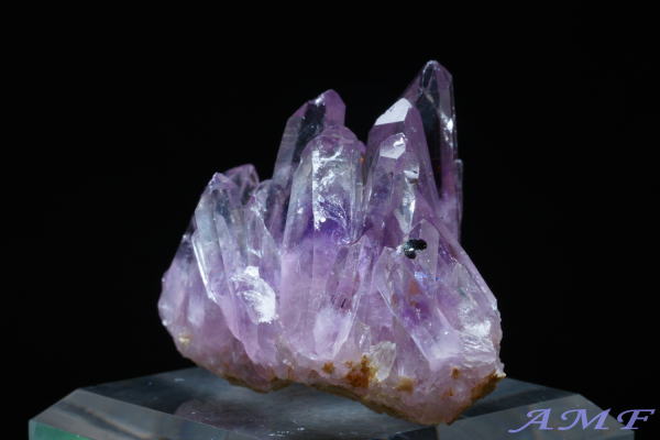 󏭂ȃLVREQBYAWXgNX^[158