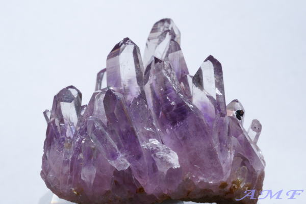 󏭂ȃLVREQBYAWXgNX^[159