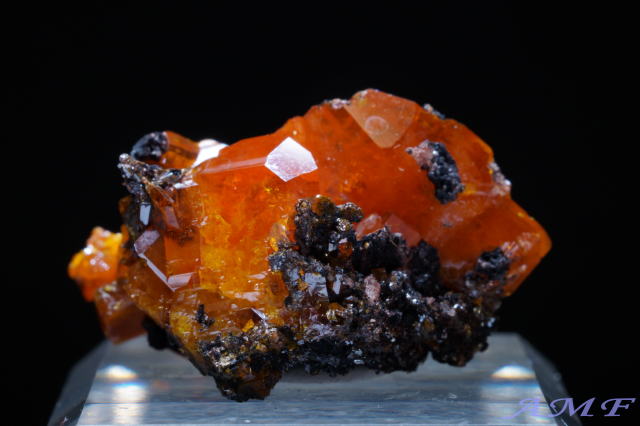 AJEA]iBYEtFiCgYȕW{111