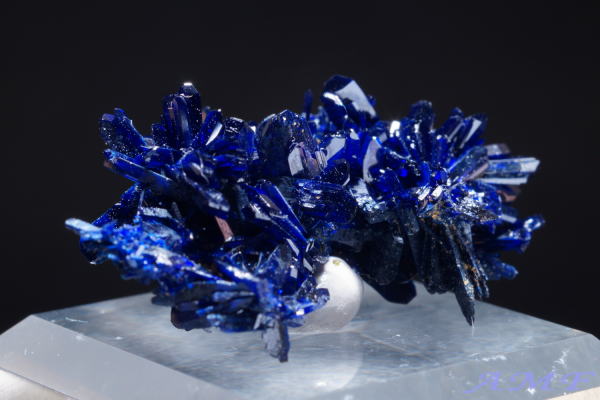 bRYj[h^CvAYCgYȕW{142