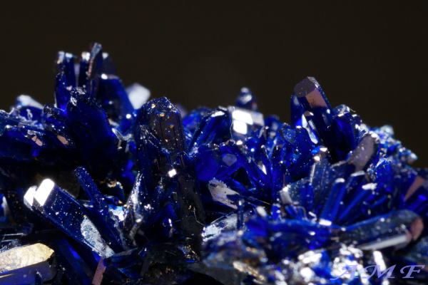 bRYj[h^CvAYCgYȕW{1410