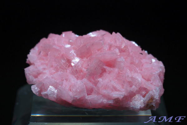 AtJEz^[Y[hNTCgYȕW{15