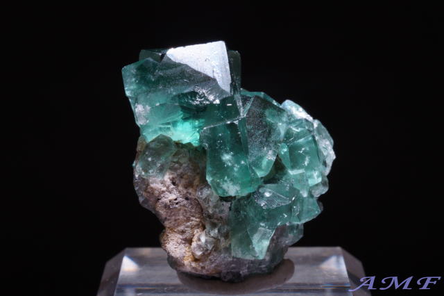 COhEW[zRYO[t[CgYȕW{111