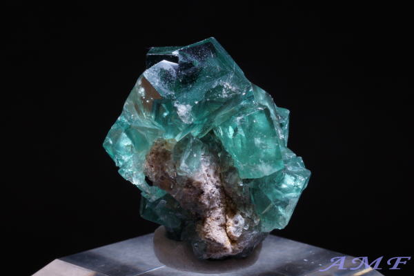 COhEW[zRYO[t[CgYȕW{112