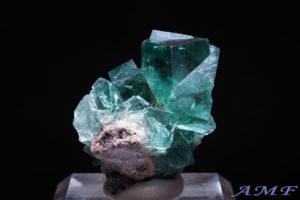 COhEW[zRYO[t[CgYȕW{115