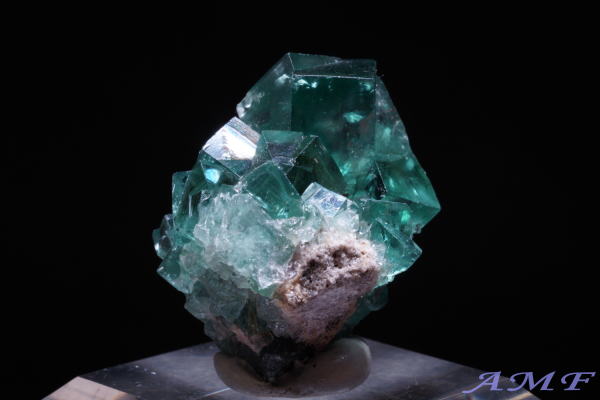 COhEW[zRYO[t[CgYȕW{116