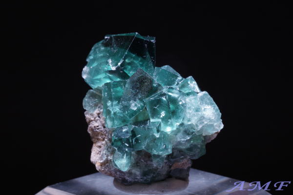 COhEW[zRYO[t[CgYȕW{118