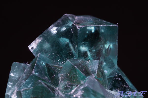 COhEW[zRYO[t[CgYȕW{119