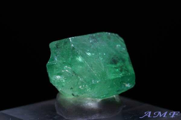 �^���U�j�A�E�������j�Y�O���[���K�[�l�b�g(�c�@�{���C�g)���Y��ȕW�{52