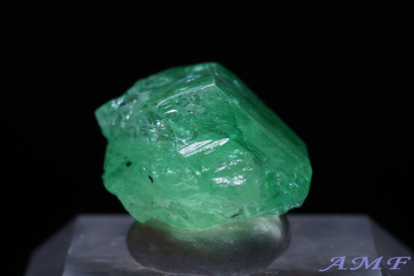 �^���U�j�A�E�������j�Y�O���[���K�[�l�b�g(�c�@�{���C�g)���Y��ȕW�{53