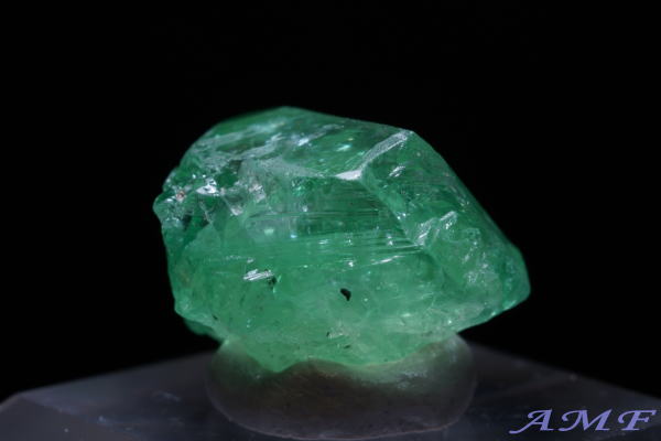 �^���U�j�A�E�������j�Y�O���[���K�[�l�b�g(�c�@�{���C�g)���Y��ȕW�{54