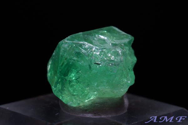 �^���U�j�A�E�������j�Y�O���[���K�[�l�b�g(�c�@�{���C�g)���Y��ȕW�{56