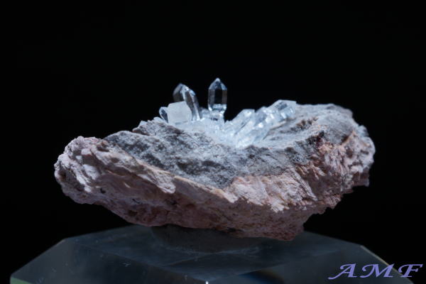 �A�����J�E���^�B�Y�������Y��ȕW�{116