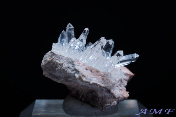 �A�����J�E���^�B�Y�������Y��ȕW�{123