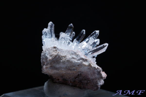 �A�����J�E���^�B�Y�������Y��ȕW�{124