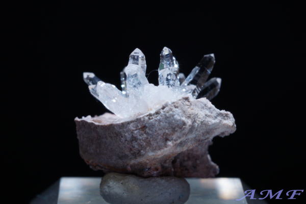 �A�����J�E���^�B�Y�������Y��ȕW�{125