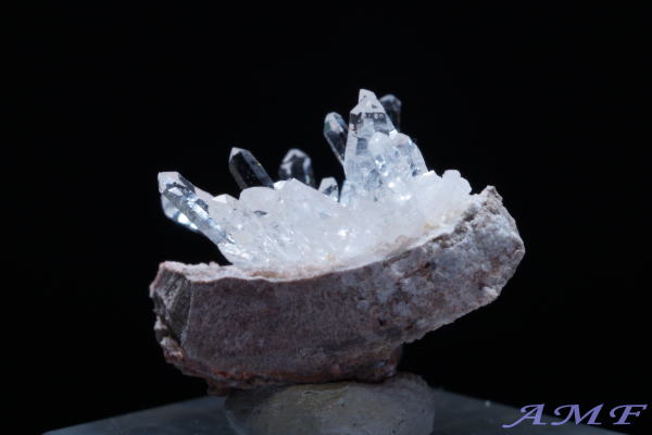 �A�����J�E���^�B�Y�������Y��ȕW�{126