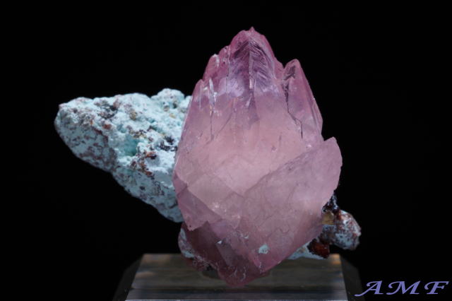 �R���S�Y�R�o���g�J���T�C�g���Y��ȕW�{11