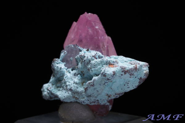 �R���S�Y�R�o���g�J���T�C�g���Y��ȕW�{14