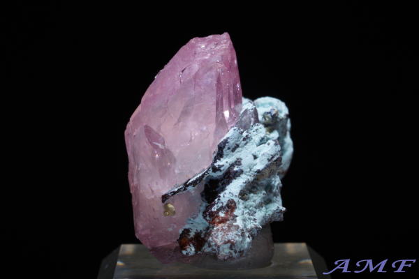 �R���S�Y�R�o���g�J���T�C�g���Y��ȕW�{17