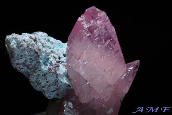 �R���S�Y�R�o���g�J���T�C�g���Y��ȕW�{19