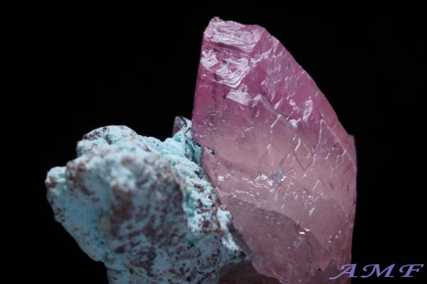 �R���S�Y�R�o���g�J���T�C�g���Y��ȕW�{110