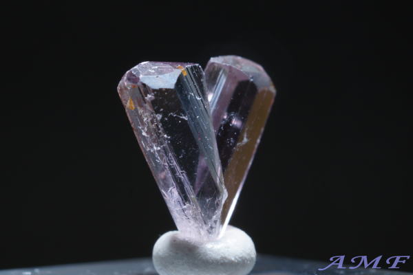 �g���R�Y�_�C�A�X�|�A�̃W�F���O���[�h�W�{22