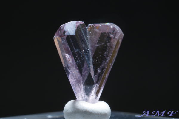 �g���R�Y�_�C�A�X�|�A�̃W�F���O���[�h�W�{26