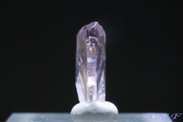 �g���R�Y�_�C�A�X�|�A�̃W�F���O���[�h�W�{27