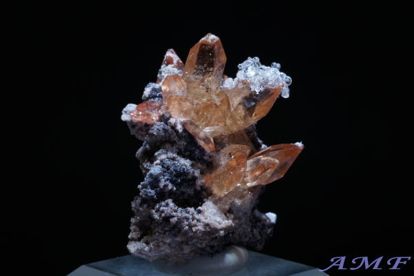 ���L�V�R�Y�n�C�A���C�g�t���g�p�[�Y���Y��ȕW�{102