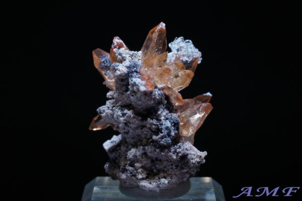 ���L�V�R�Y�n�C�A���C�g�t���g�p�[�Y���Y��ȕW�{103