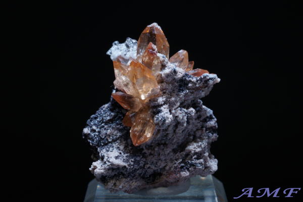 ���L�V�R�Y�n�C�A���C�g�t���g�p�[�Y���Y��ȕW�{105