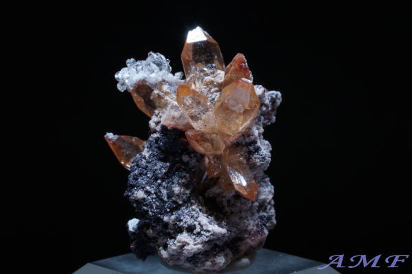 ���L�V�R�Y�n�C�A���C�g�t���g�p�[�Y���Y��ȕW�{106