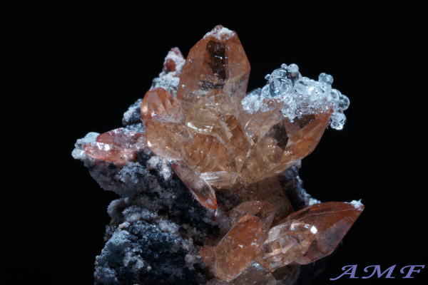 ���L�V�R�Y�n�C�A���C�g�t���g�p�[�Y���Y��ȕW�{109