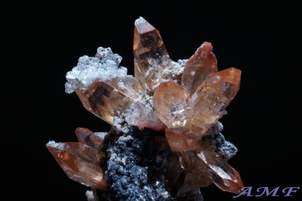 ���L�V�R�Y�n�C�A���C�g�t���g�p�[�Y���Y��ȕW�{1010