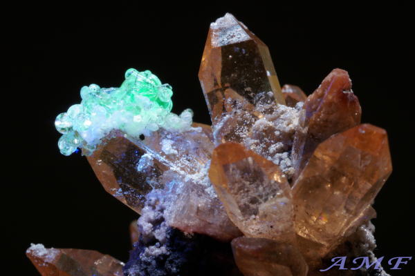 ���L�V�R�Y�n�C�A���C�g�t���g�p�[�Y���Y��ȕW�{1012