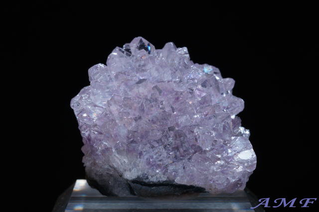 �E���O�A�C�E�A���e�B�K�X�Y�A���V�X�g���Y��ȕW�{11"