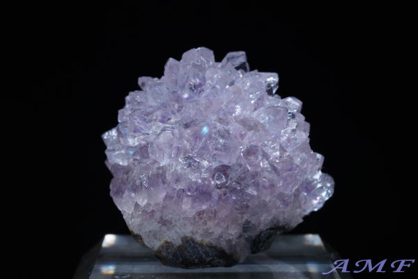 �E���O�A�C�E�A���e�B�K�X�Y�A���V�X�g���Y��ȕW�{13