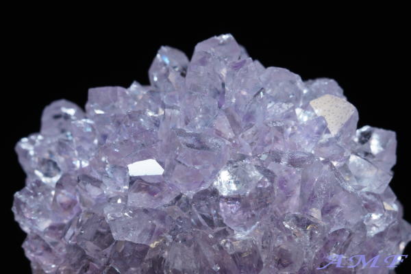 �E���O�A�C�E�A���e�B�K�X�Y�A���V�X�g���Y��ȕW�{110