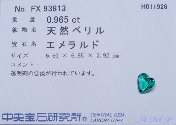 �R�����r�A�Y�n�[�g�V�F�C�v�G�������h�O.�X�U����117